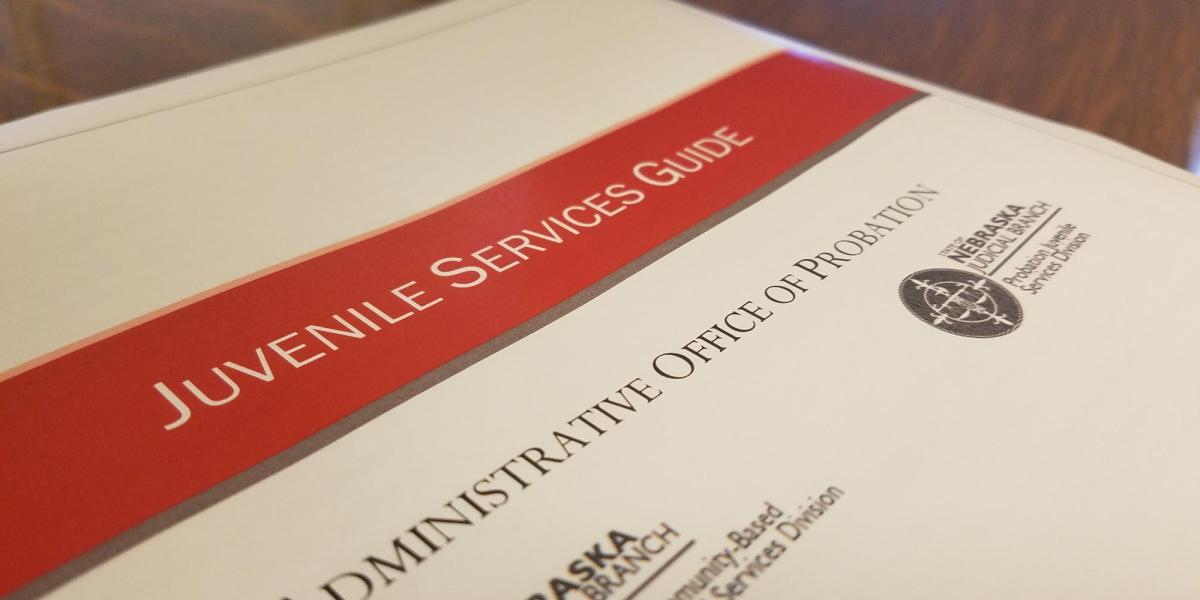 New Juvenile Service Definition and Service Interpretative Guidelines are now available