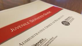 New Juvenile Service Definition and Service Interpretative Guidelines are now available